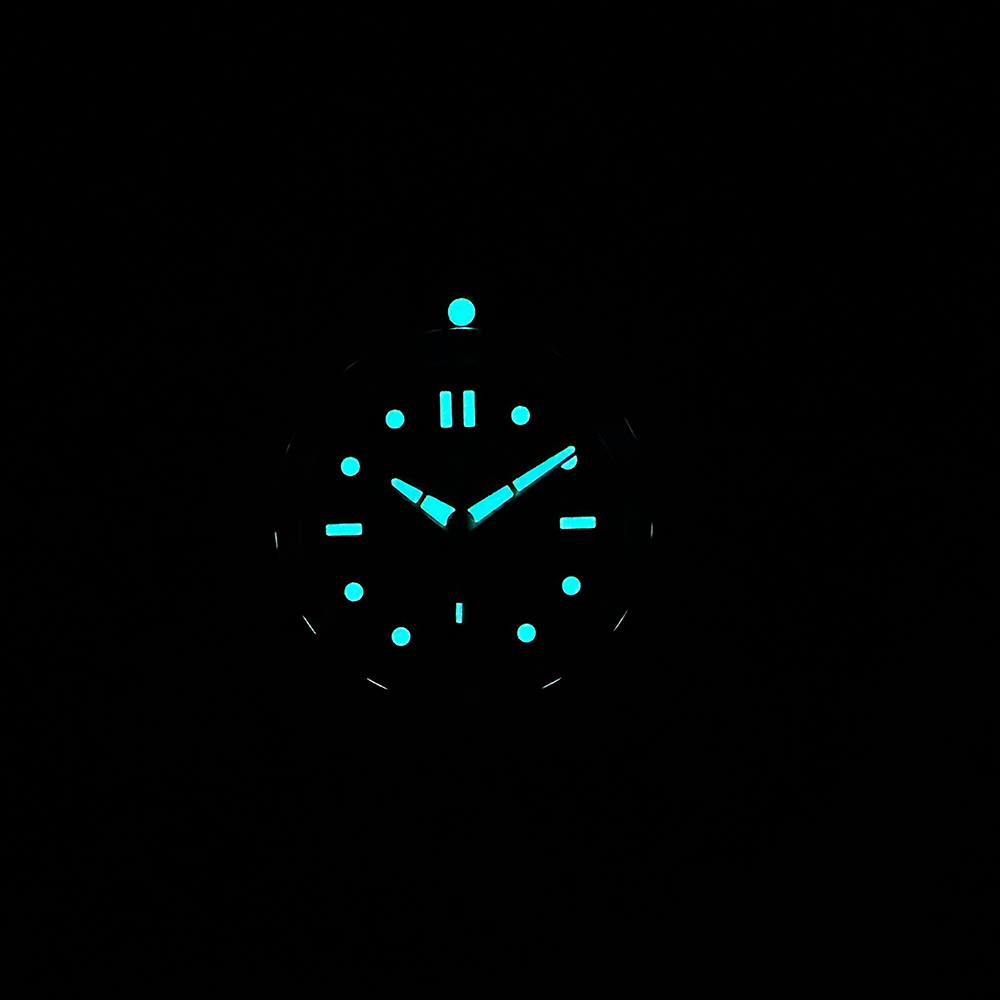 STEELDIVE Official New In SD19 - Seiko Watch Prospex review and price