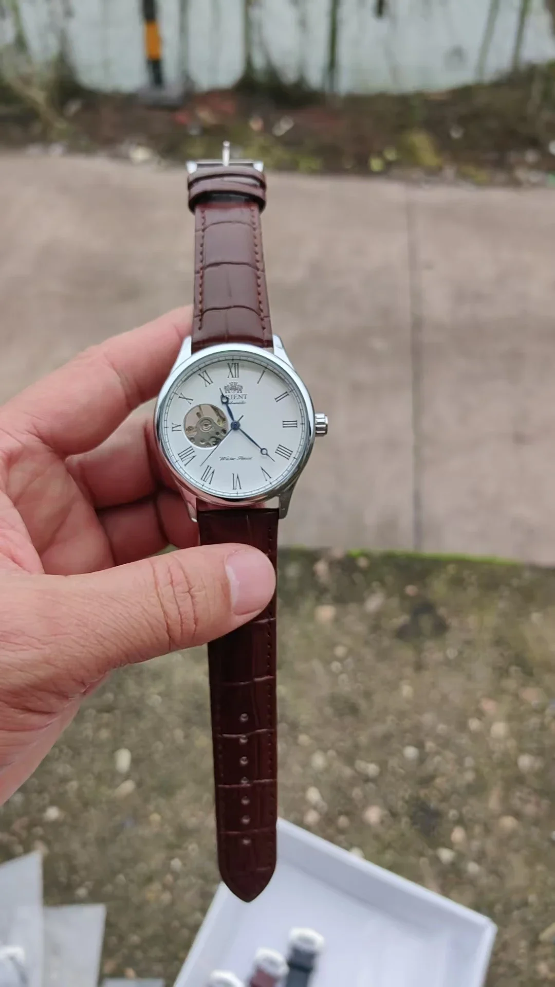 DFDG Mechanical Skeleton Watch - Seiko Watch Presage review and price